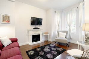 Smart TV, fireplace, books