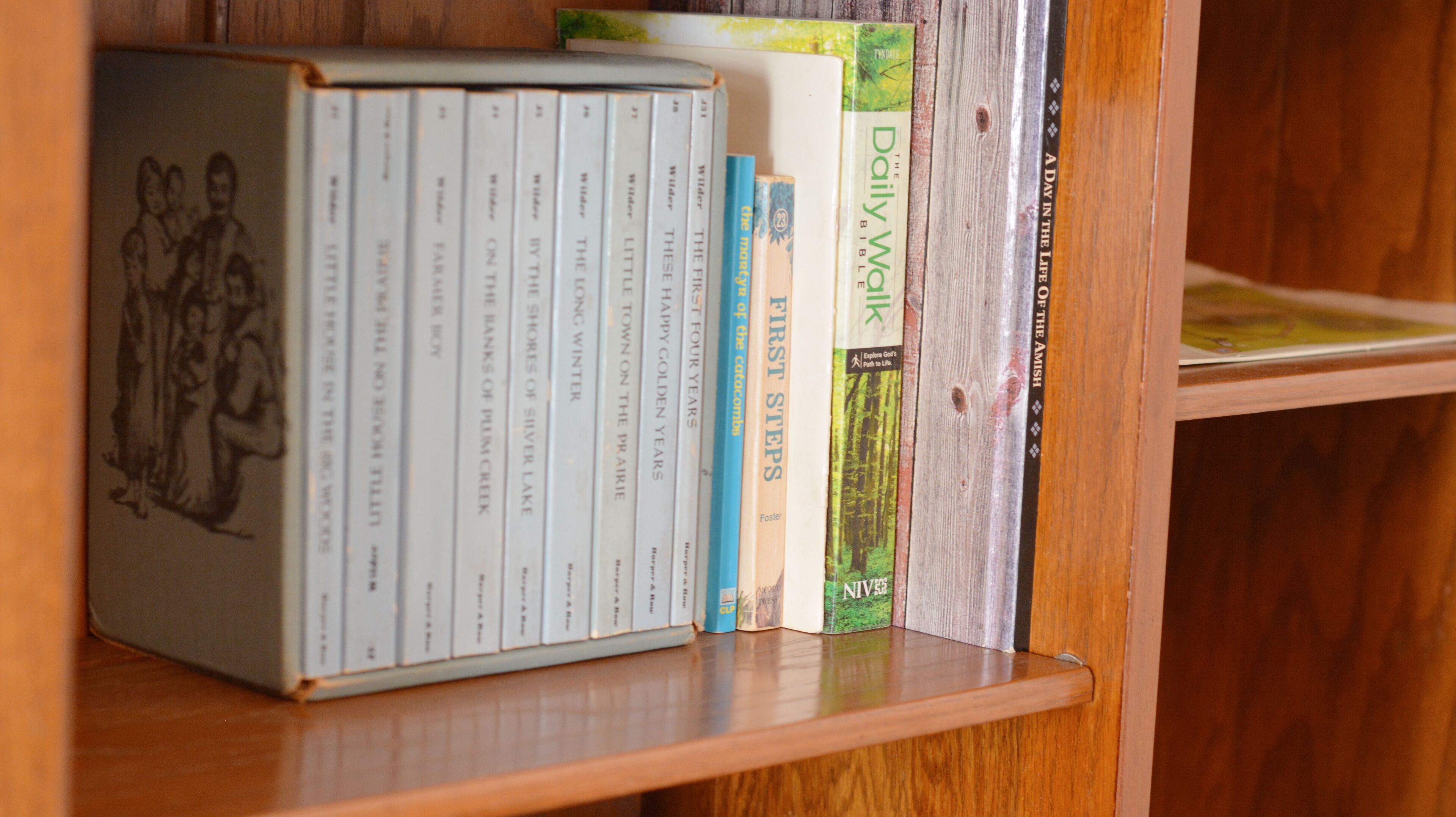 A bookshelf with a collection of books, including a series of volumes with illustrations on the left.