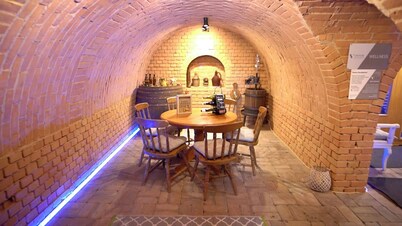 Private House close to lake Balaton at the vineyard-  - Völgyhíd Village 