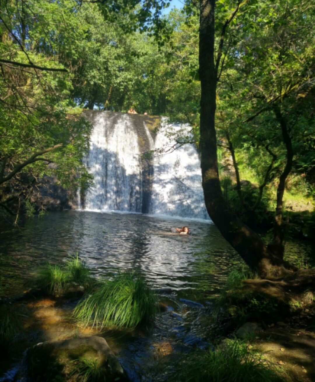 Una cascada en un área boscosa con una persona nadando en el agua.
