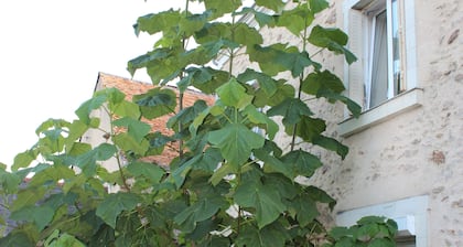 Gite des Hirondelles