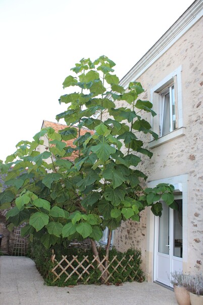 Gite des Hirondelles