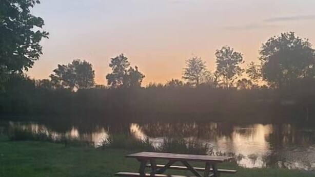 Une table de pique-nique au bord d’un lac paisible, avec des arbres en arrière-plan.