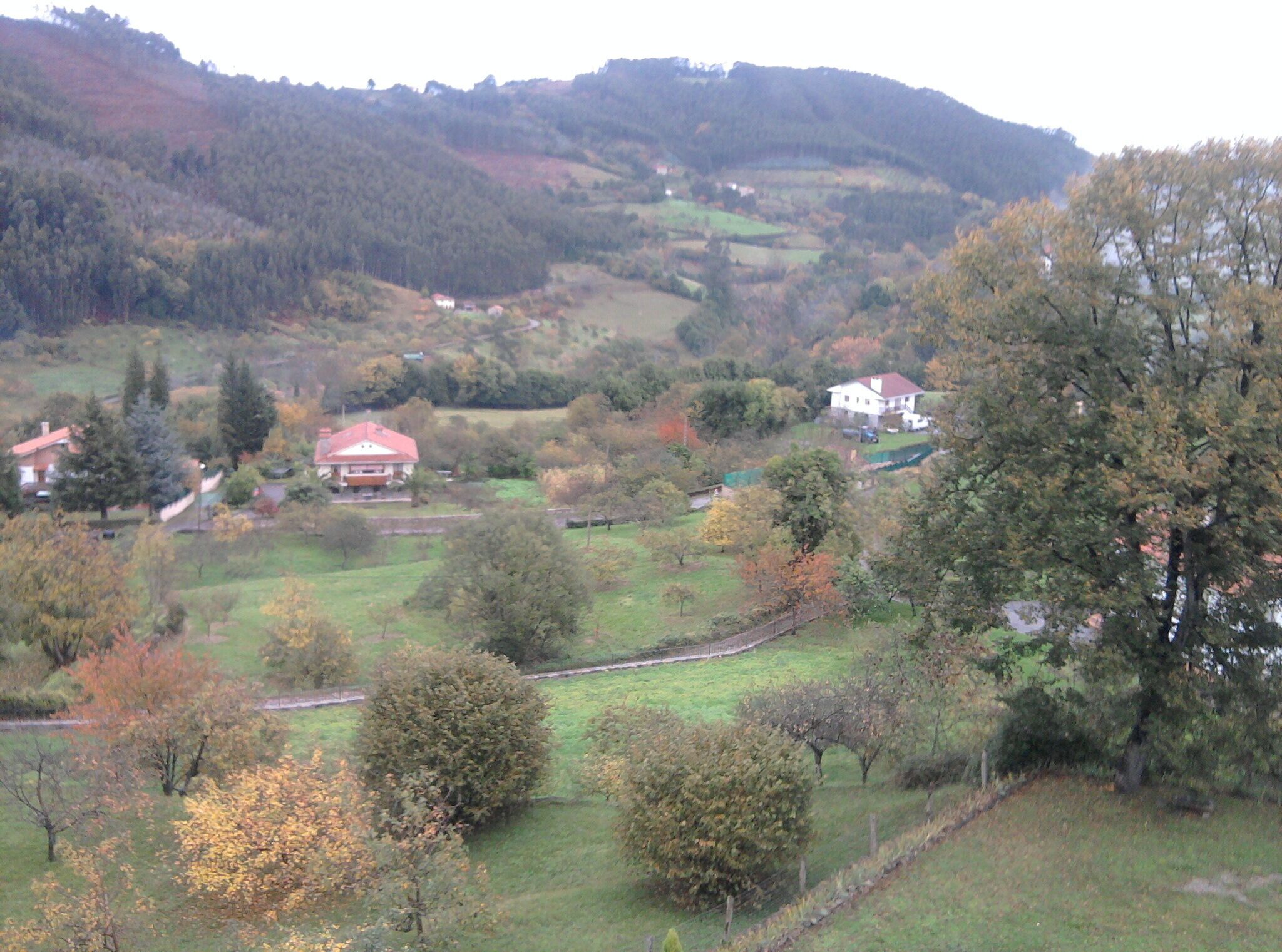 A rural landscape with a prominent house surrounded by trees and fields.