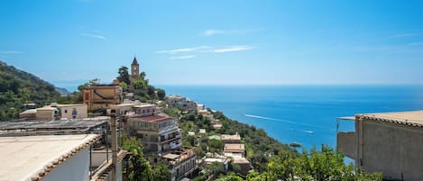 A coastal town with buildings, a bell tower, and vineyards.