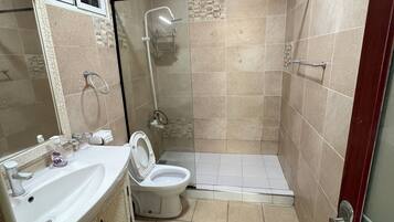 Shower, hair dryer, bidet, towels