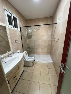 Ducha, secador de pelo, bidé y toallas