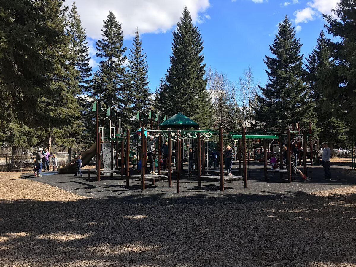 Un parque infantil con diversas estructuras de juego rodeado de árboles.