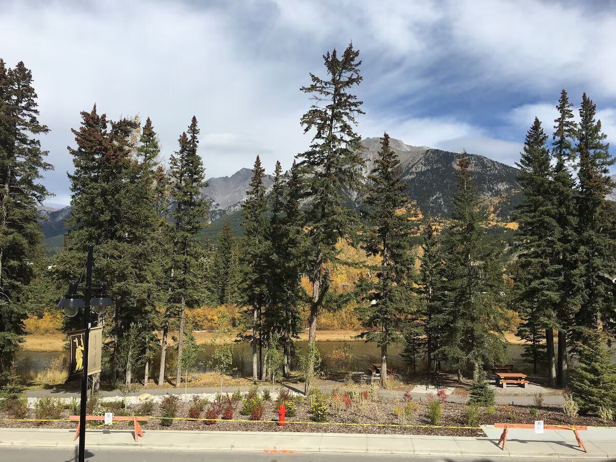 A park with tall trees, a bench, and a mountain in the background.