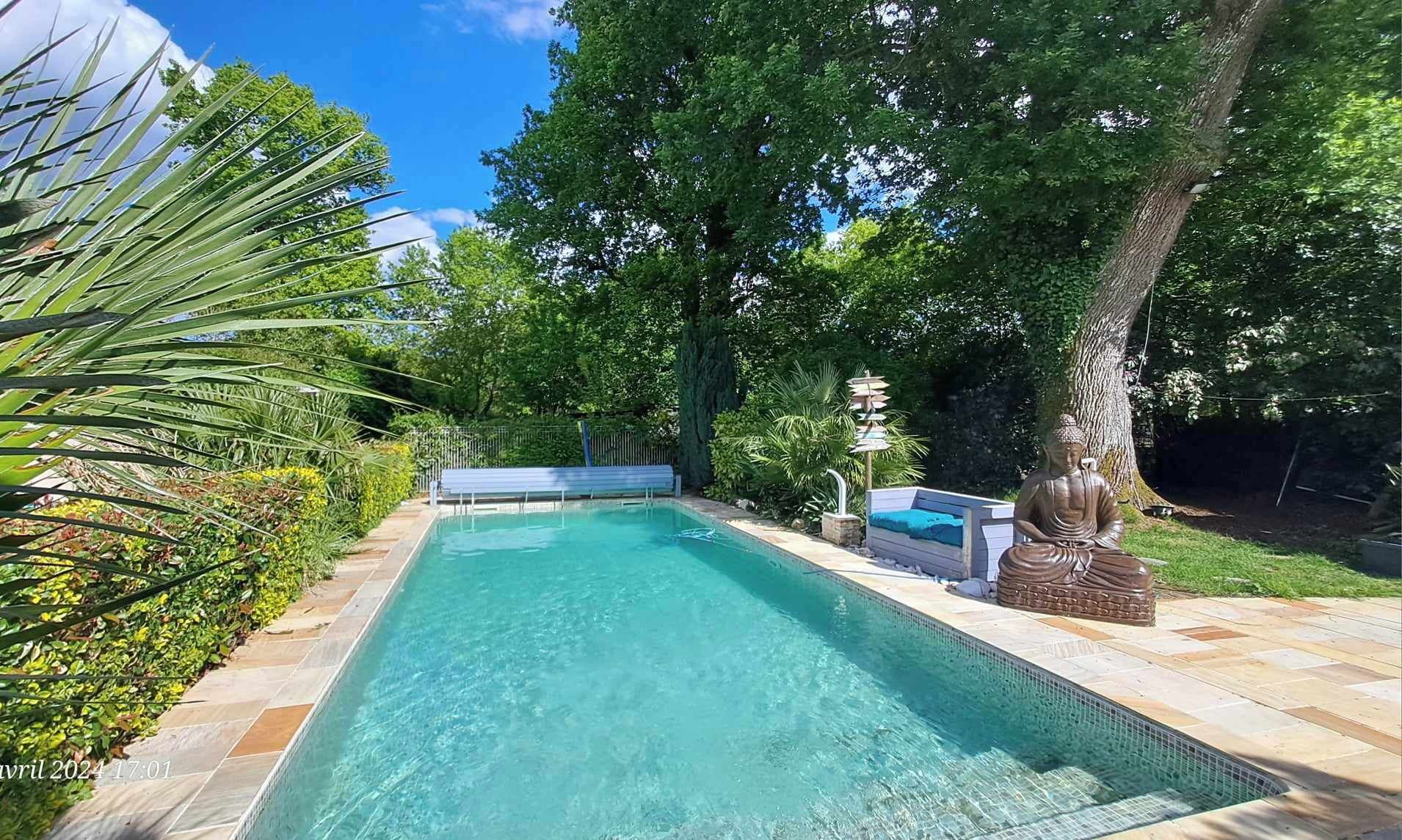 En rektangulær swimmingpool med krystalklart, blåt vand, omgivet af en stendæk og frodig vegetation.
