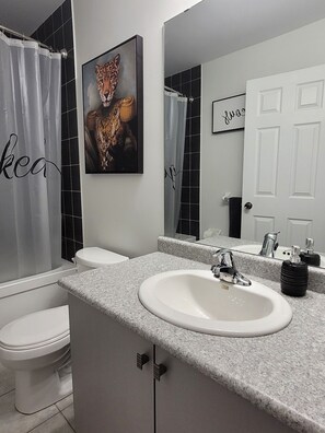 Hair dryer, towels, soap, shampoo