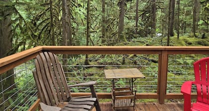 Moss Top Cabin: cozy off-grid retreat