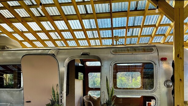 Interior de una autocaravana con techo de madera, plantas en macetas, alfombra estampada y un pequeño rincón de estar.