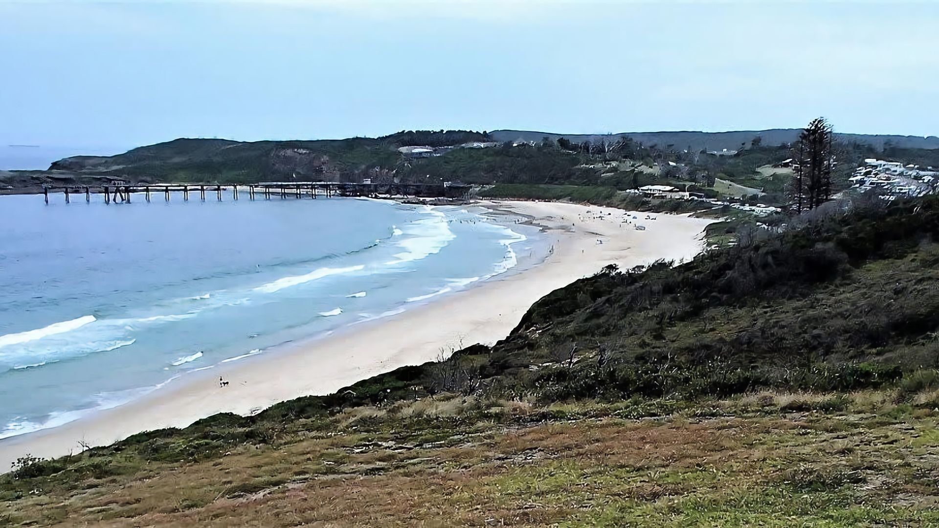 Ein Küstenstrand mit einem Pier, der sich ins Meer erstreckt, grüner Vegetation und vereinzelten Gebäuden.