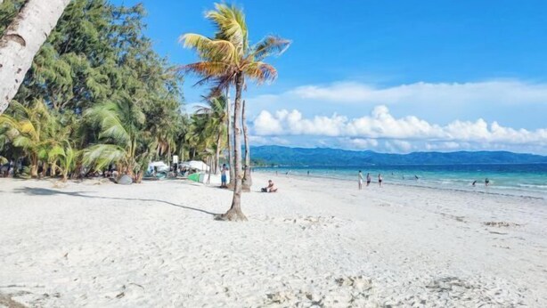 A beach with palm trees, clear skies, and a calm sea. - RedDoorz @ The Central Inn Boracay Island (Boracay Island)