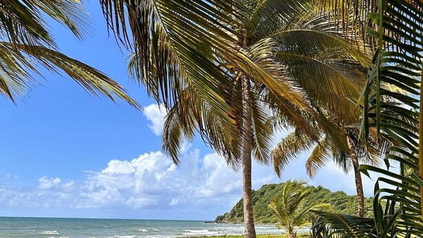 Sun loungers, beach towels - Spacious 5-bedroom house in gated community, private pool and semi-private beach (Humacao)