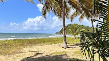 Sun loungers, beach towels