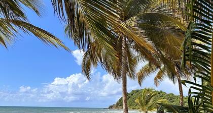 Spacious 5-bedroom house in gated community, private pool and semi-private beach