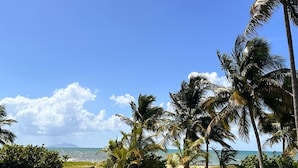 A grassy area with palm trees and a view of the ocean. - Spacious 5-bedroom house in gated community, private pool and semi-private beach (Humacao)