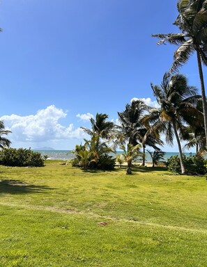 Property grounds - Spacious 5-bedroom house in gated community, private pool and semi-private beach (Humacao)