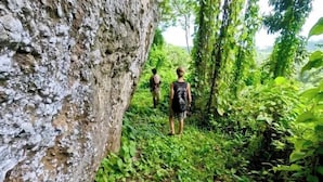 A natural setting with a large rock formation and dense greenery. - Kajoro Sunset Lodge  (Vangunu Island)