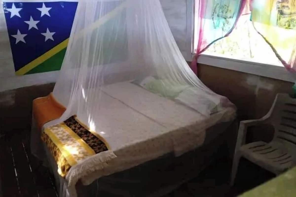 Una habitación pequeña con una cama bajo una mosquitera, una silla e una bandera en la pared.