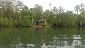 A calm water body with dense greenery and a small structure near the shore. - Kajoro Sunset Lodge  (Vangunu Island)