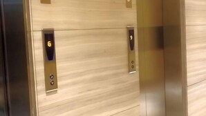 An elevator interior with a light wood finish and two elevator buttons. - Palm Tree Genlex Condo (Pasay)