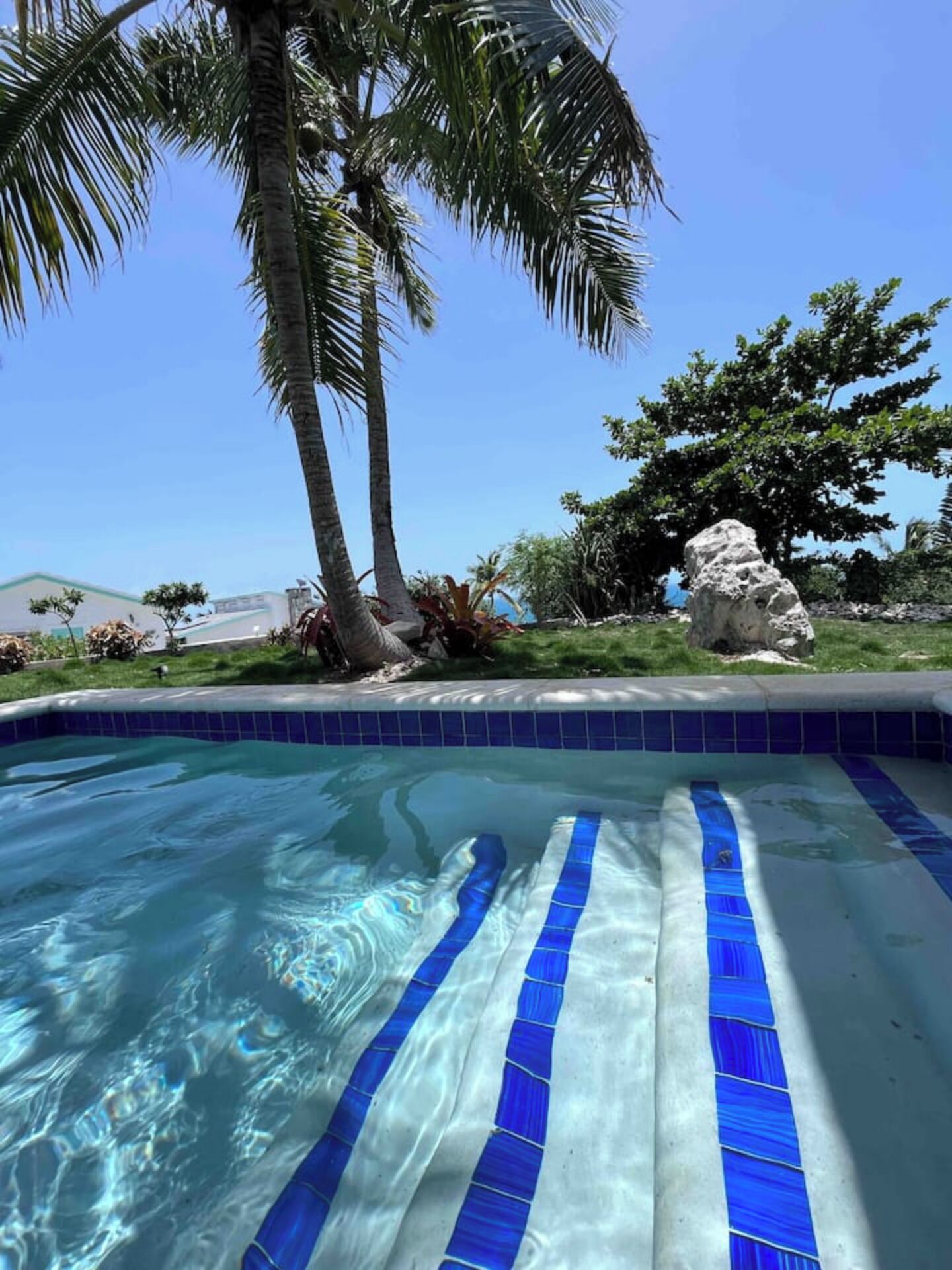A swimming pool with blue and white tiles, surrounded by palm trees and a large rock.