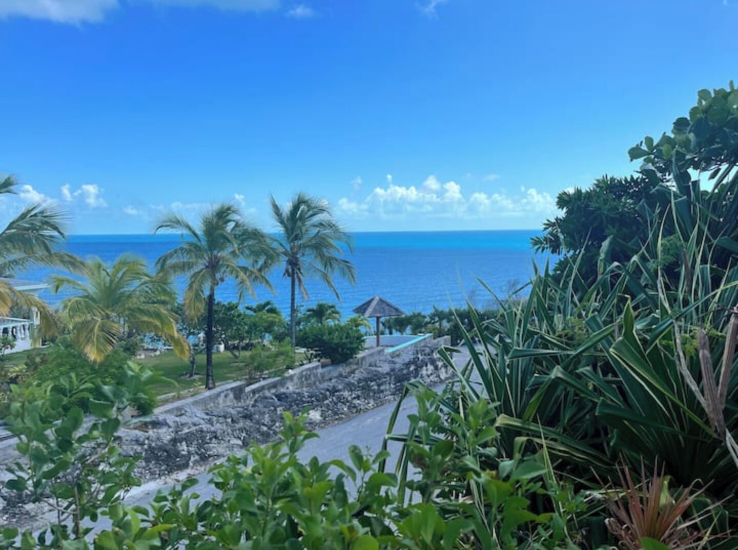 Une vue sur la côte, avec des palmiers, une plage et une construction au toit de chaume.