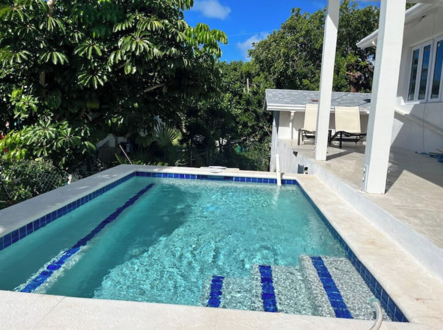 Une piscine rectangulaire aux carreaux bleus et à l’eau cristalline, entourée d’une végétation luxuriante et d’un bâtiment blanc doté d’un patio couvert.