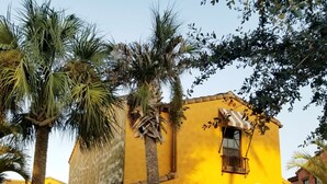 Un bâtiment jaune doté de fenêtres en arc de cercle et d’un balcon, entouré d’une végétation luxuriante et de palmiers.