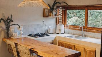 Family Cabin | Private kitchen | Microwave, stovetop, electric kettle, cookware/dishes/utensils