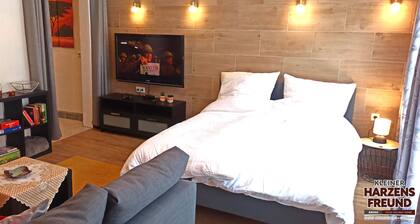Charming modern apartment in the center of ski/hike-resort Sankt Andreasberg