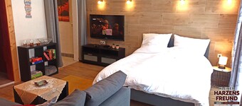 Charming modern apartment in the center of ski/hike-resort Sankt Andreasberg
