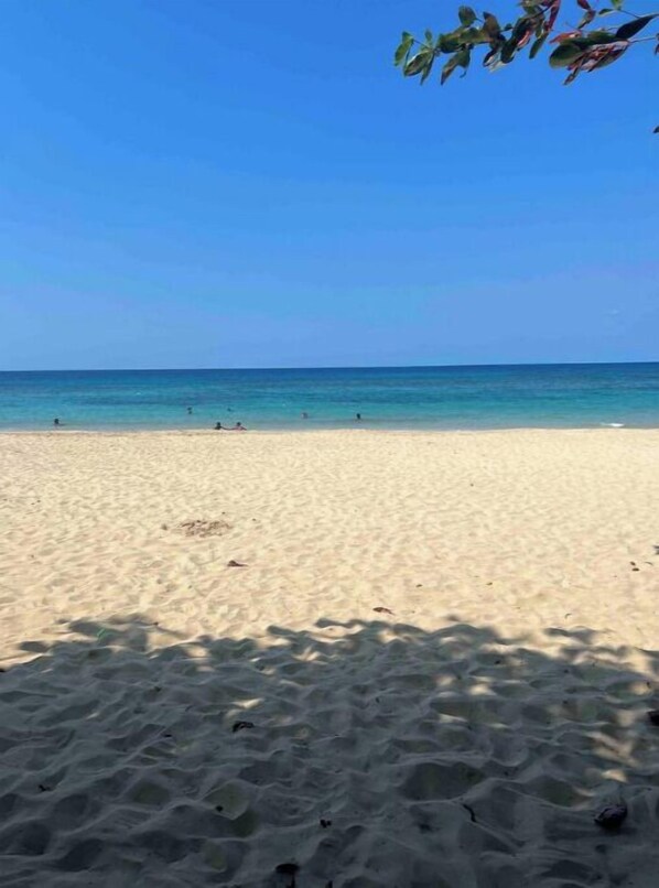 شاطئ