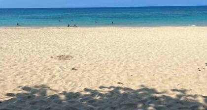 Luxury Executive Condo