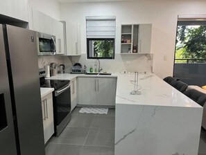 Private kitchen - Luxury Executive Condo (Runaway Bay)