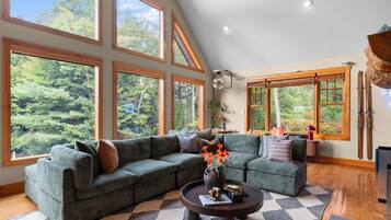 TV, fireplace, foosball, books