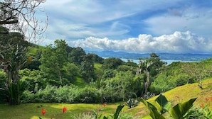 A lush garden with a variety of plants and a view of distant hills and a body of water.