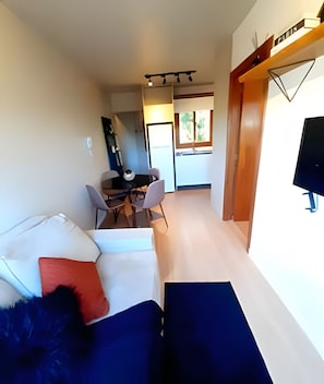 Basic Apartment | Living area | Flat-screen TV