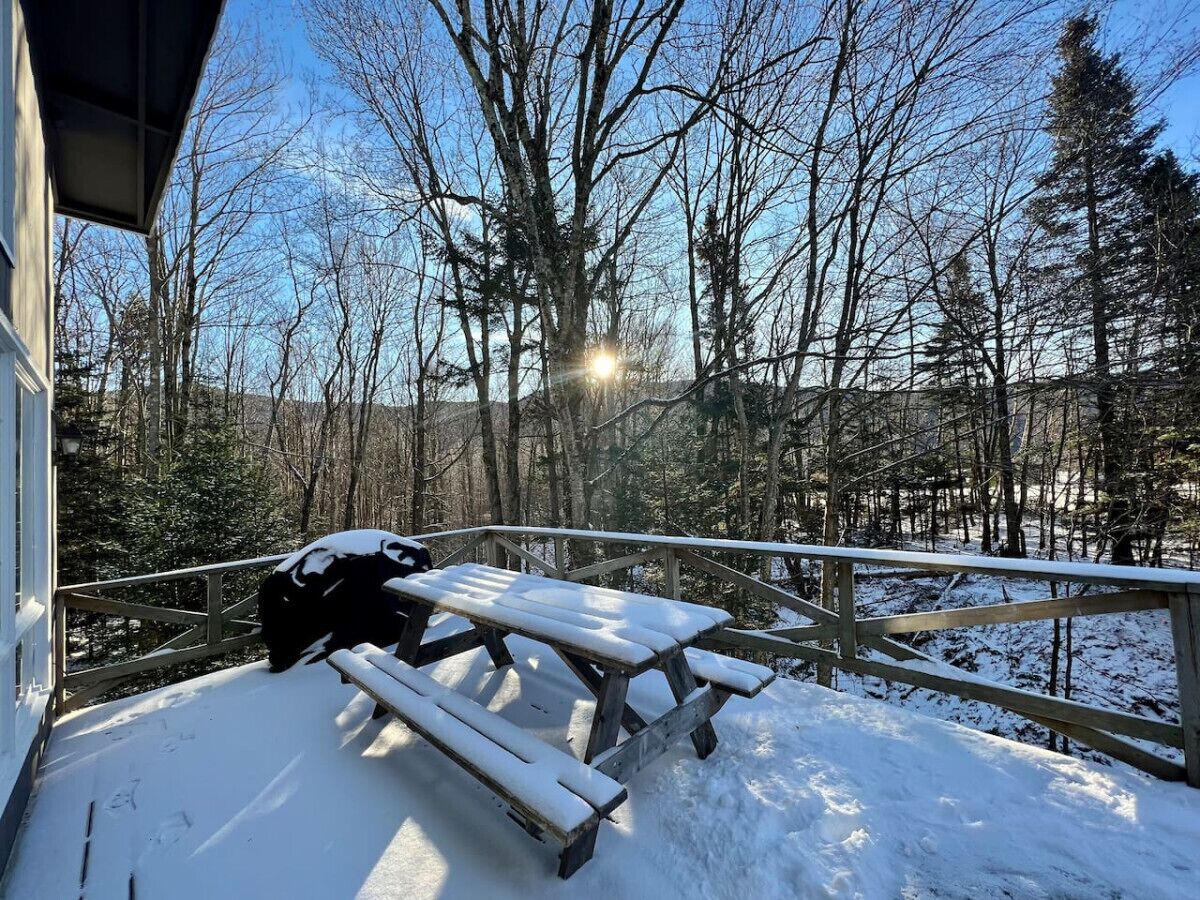 Un muelle cubierto de nieve con una mesa de picnic y bancos, rodeado de árboles y un cielo despejado.
