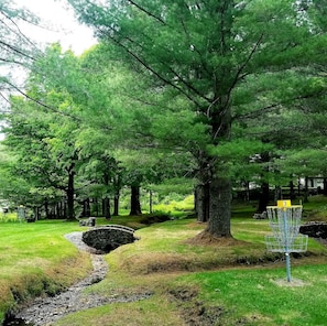 Property grounds - Jay Peak VT 5BR Chalet (Westfield)