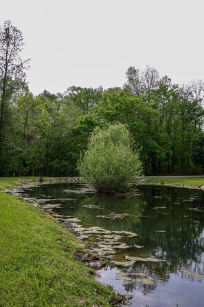 Terrain de l’hébergement 