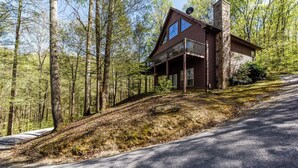 A cabin with a porch, surrounded by a forest. - 4 Bedroom 3 Bath on secluded acreage with Fireplace & Wifi (Townsend)