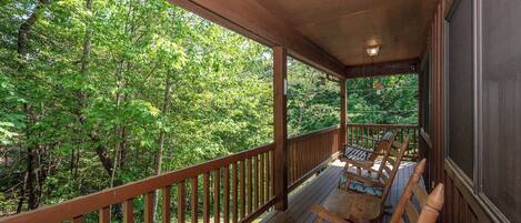 A wooden deck with a railing, two wooden chairs with patterned cushions, and a view of dense green trees.