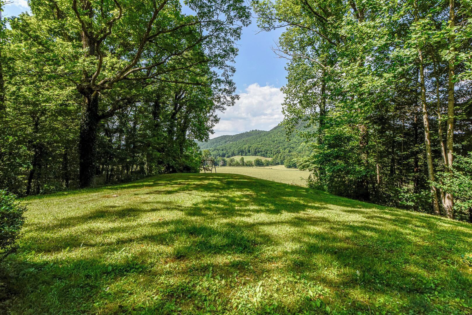 Un champ herbeux bordé d’arbres sur les deux côtés, avec une vue lointaine sur des collines.