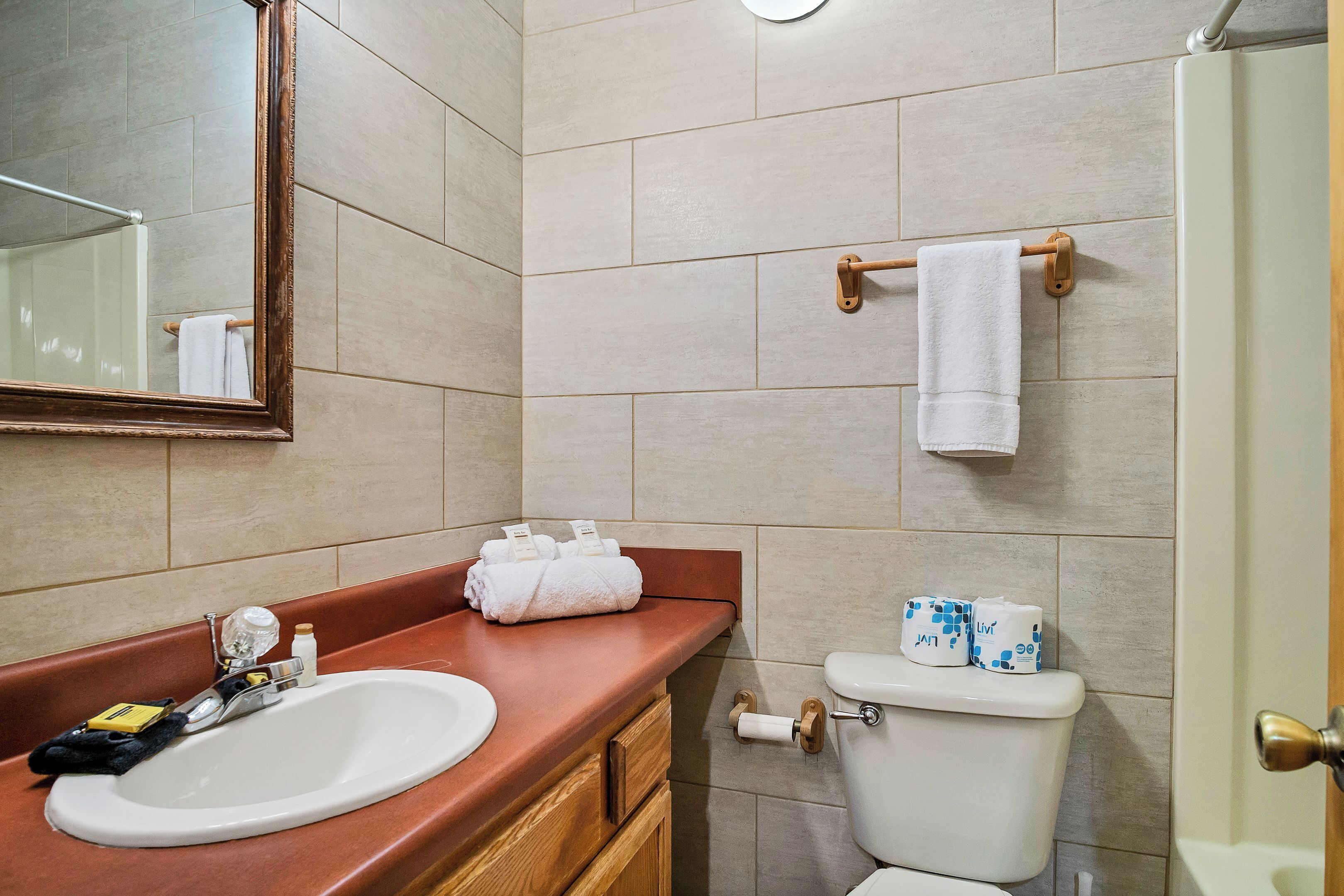 Een badkamer met een wastafel, spiegel, handdoekhouder, toilet en douche.