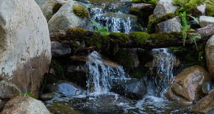 Welcome to our BoHo Treehouse!
