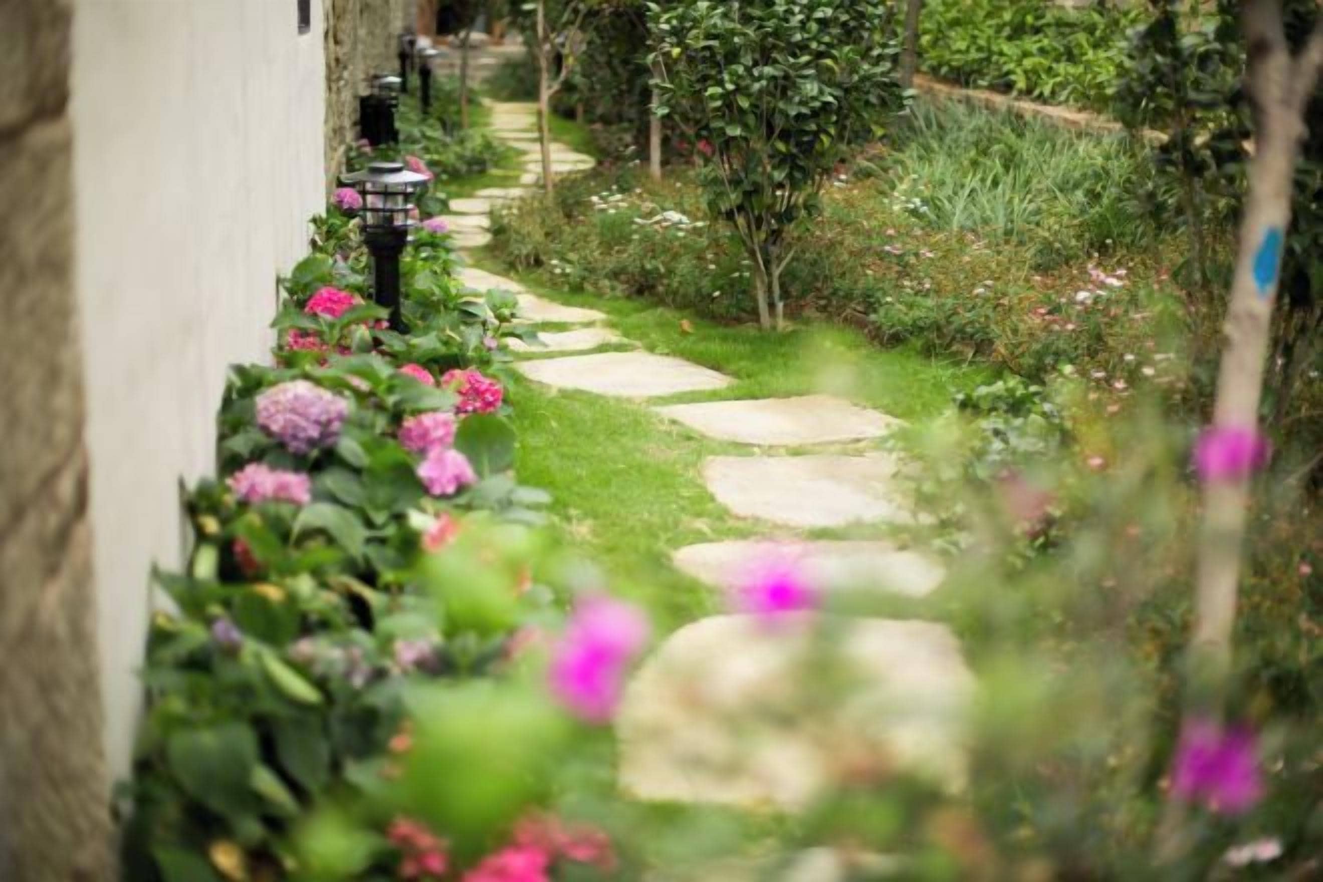 Un estrecho sendero de jardín con piedras para pisar, rodeado de exuberante follaje y plantas florecientes.